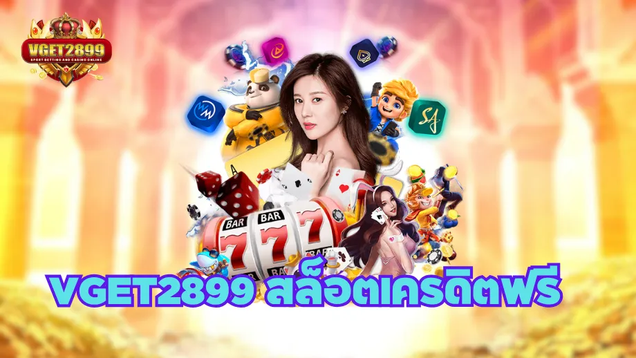 VGET2899(K1)